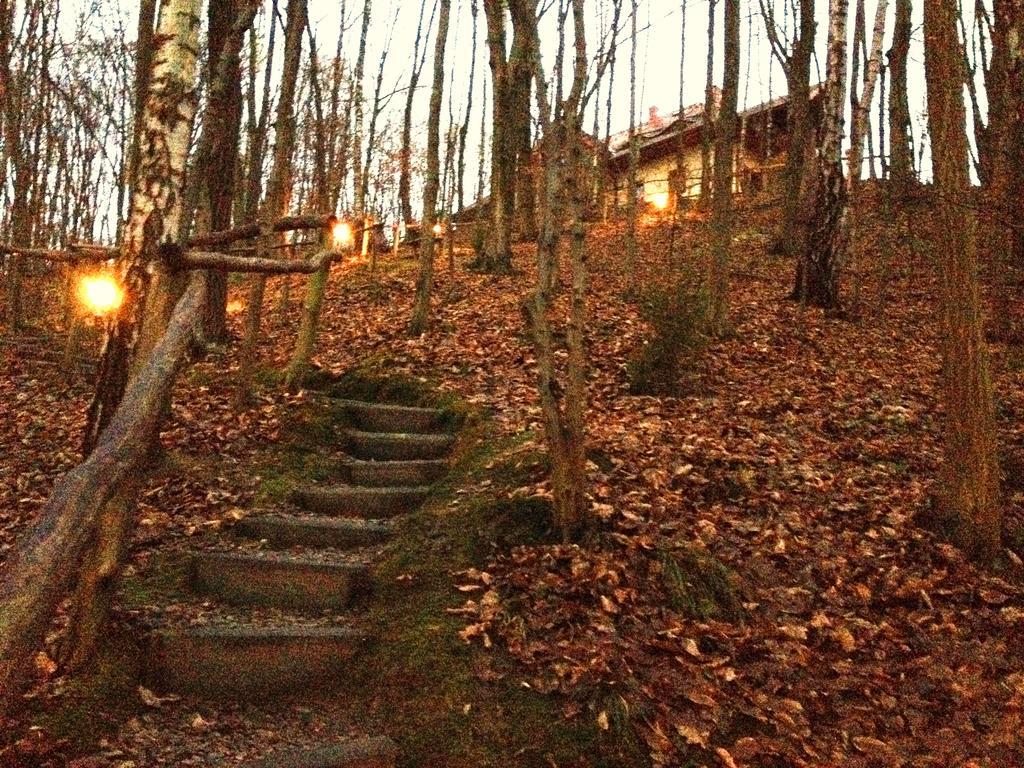 Osrodek Kwaskowa Villa Kazimierz Dolny Kültér fotó