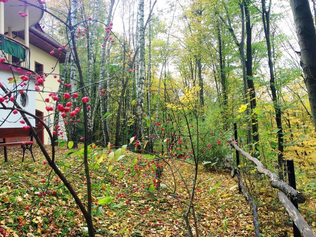 Osrodek Kwaskowa Villa Kazimierz Dolny Kültér fotó