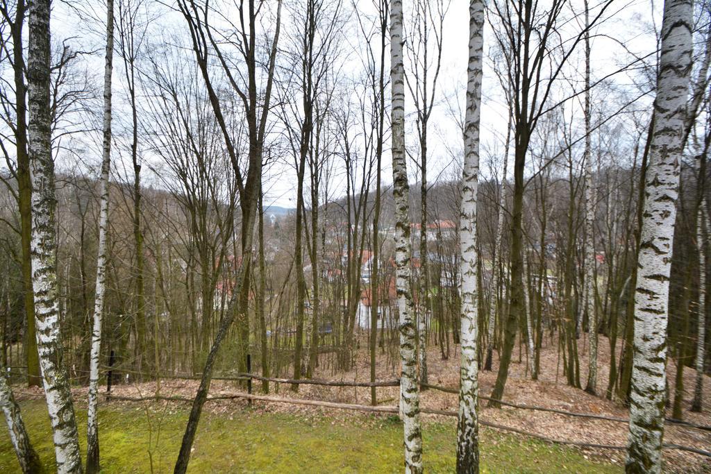 Osrodek Kwaskowa Villa Kazimierz Dolny Kültér fotó